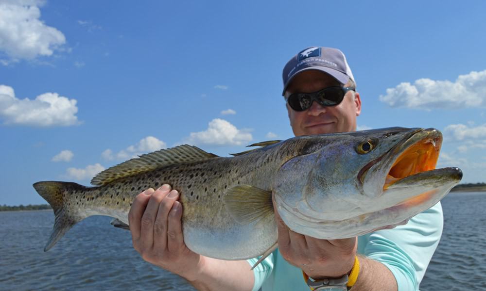 Best Fishing Spots Near Saint Augustina, Florida - TheBookOnGoneFishing