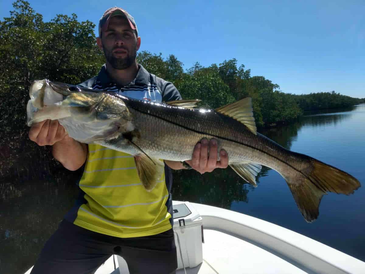 Best Fishing Spots Near Tampa Bay, Florida (Christmas Pass) - TheBookOnGoneFishing