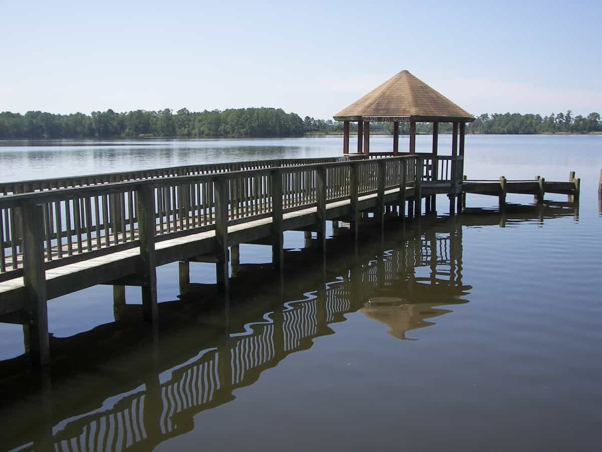 Best Fishing Spots Near Jacksonville, North Carolina (Wilson Bay) - TheBookOnGoneFishing