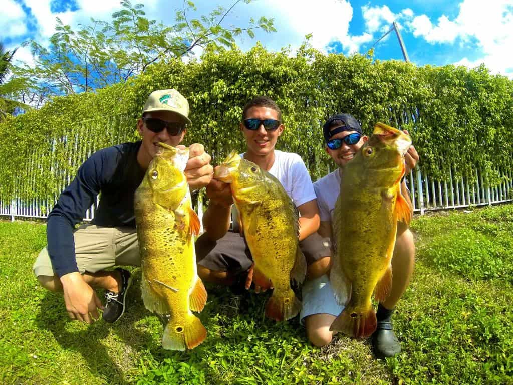 The Top 3 bass fishing tips in florida
