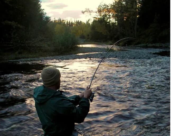 Patapsco River thebookongonefishing