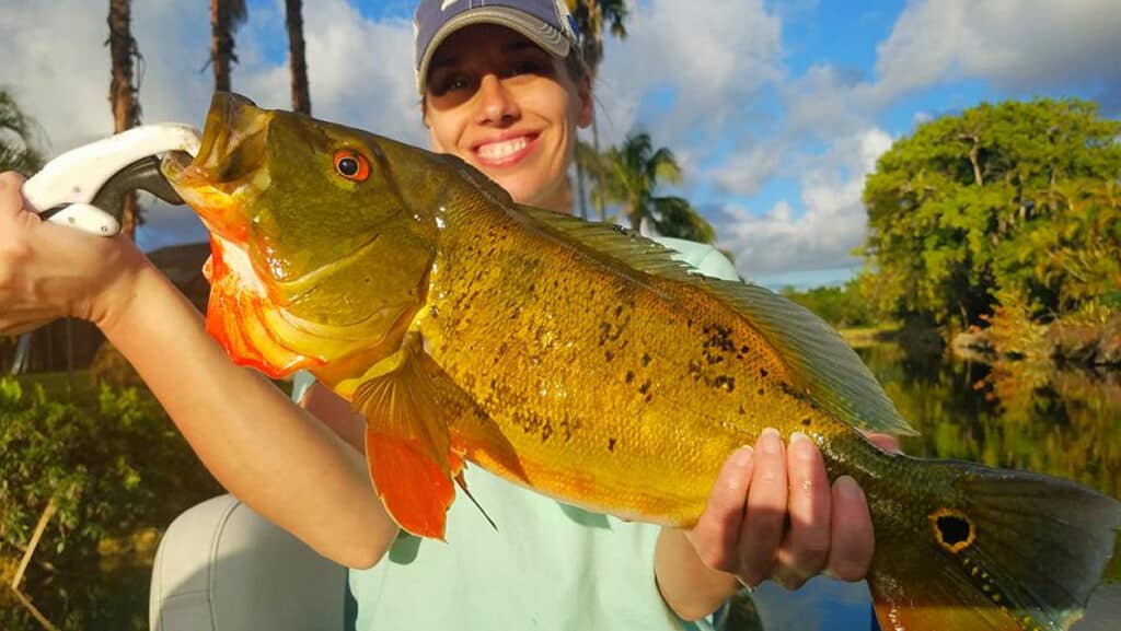 Best Fishing Spots Near Miami,  Florida (Fishermans Channel) thebookongonefishing