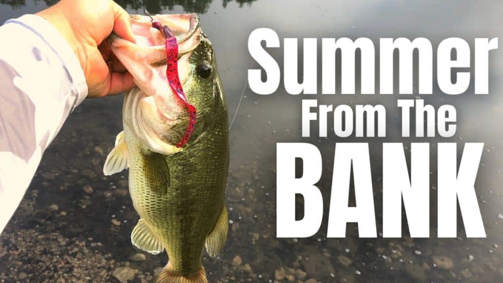 SUMMERTIME Bass Fishing FROM THE BANK (3 Lures You NEED) thebookongonefishing