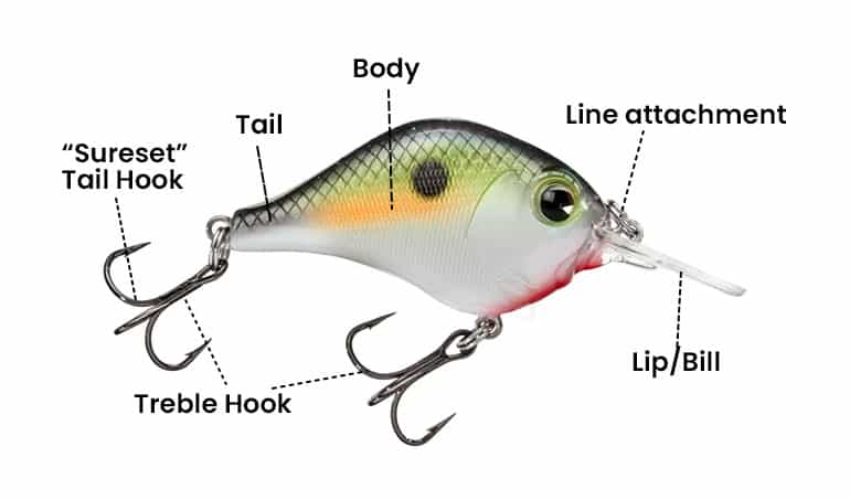 Types of Crankbaits - Underwater Fishing Lures & Crankbait Tips thebookongonefishing