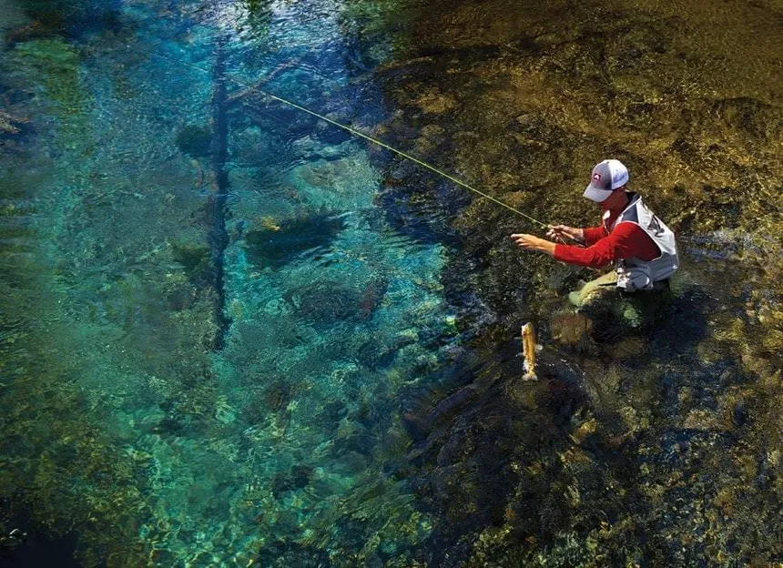The Best Fishing Spots Near Independence, Oregon (Hayden Lake