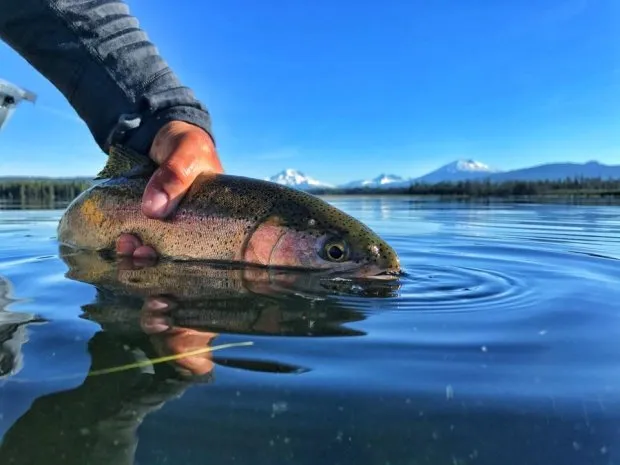 The Best Fishing Spots Near Independence, Oregon (Humbug Lake ...