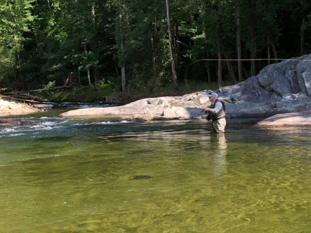 Gone Fishing On Allen Creek and Ireland Creek Near Summerville, South Carolina– Short Story thebookongonefishing