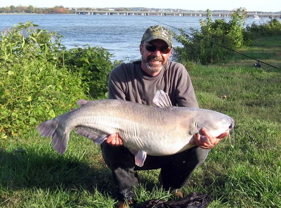 Gone Fishing On Potomac River Near Oronoco Bay Park, Washington D.C. Area – Short Story thebookongonefishing