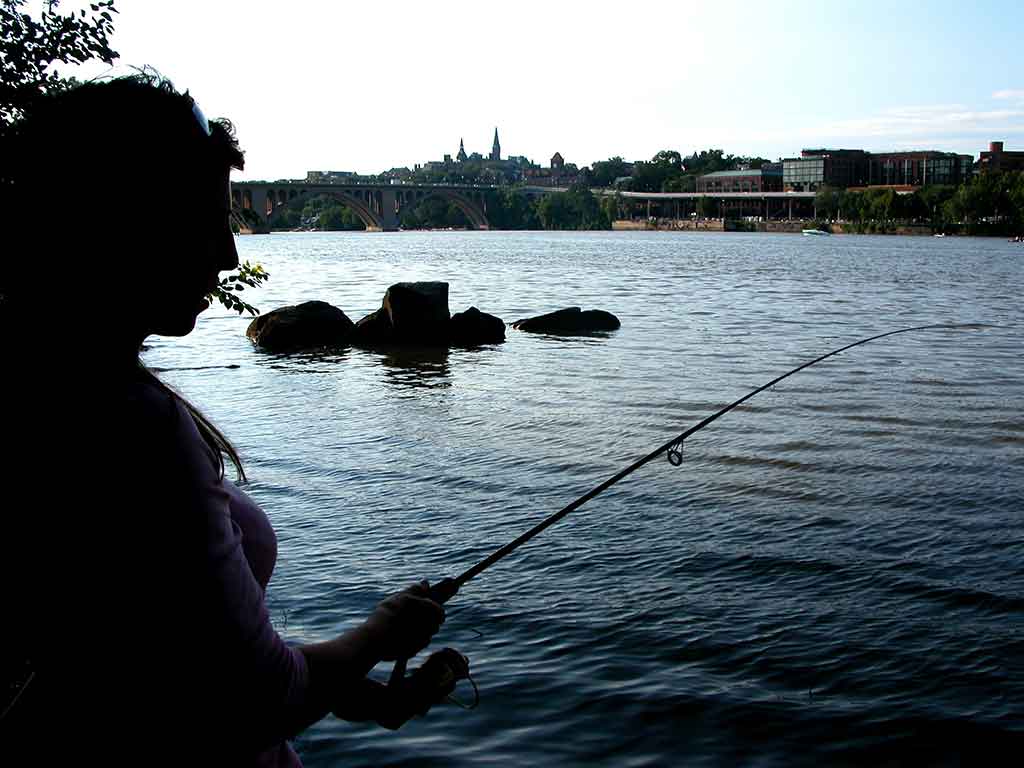 Gone Fishing On Potomac River Near Oronoco Bay Park, Washington D.C. Area – Short Story thebookongonefishing2