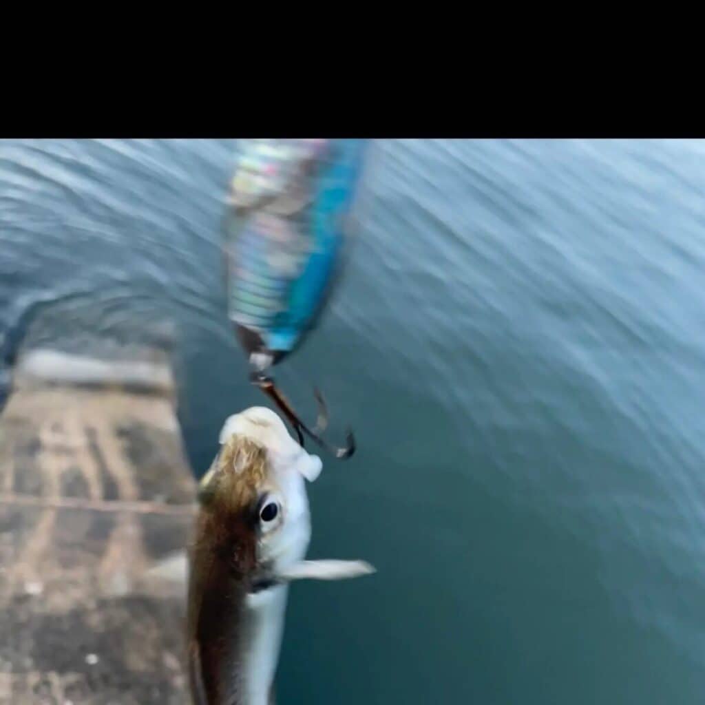 Gone Fishing On English Channel Near Dawlish, England – Short Story thebookongonefishing