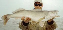 Experience Lake Erie Fishing Excellence with Sea Breeze thebookongonefishing