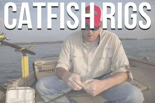 Catfishing the Mighty Mississippi with River City thebookongonefishing