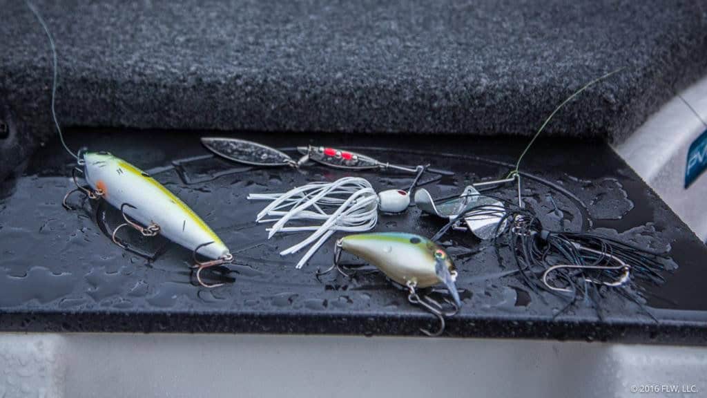 The Best Baits For Fishing In The Rain thebookongonefishing