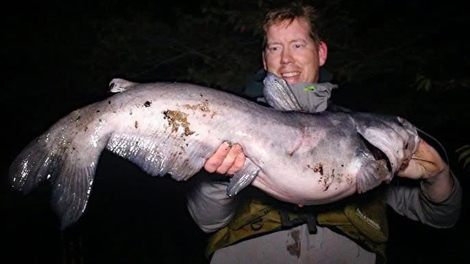 Tricks For Bank Fishing Big Rivers. Fishing For Catfish And Striped Bass From Shore thebookongonefishing