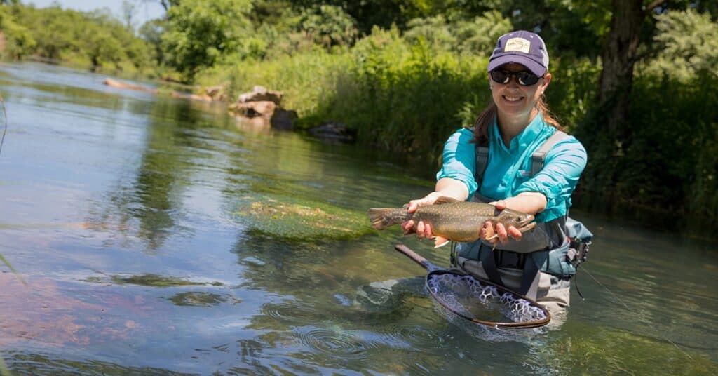 Best Fishing River In Northern Virginia thebookongonefishing