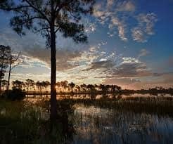 Best Fishing River In Northeastern Florida thebookongonefishing