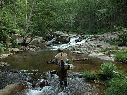 Best Fishing River In Northern Virginia thebookongonefishing