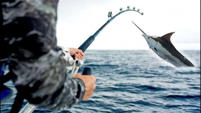 MASSIVE Mahi in Panama - Deep Sea Fishing thebookongonefishing