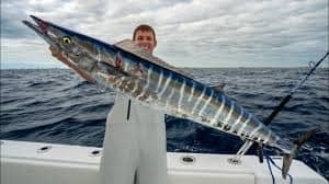 Florida's MOST Overrated Fish... Wahoo & Mahi Mahi! Catch Clean Cook thebookongonefishing