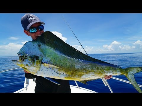 Florida's MOST Overrated Fish... Wahoo & Mahi Mahi! Catch Clean Cook thebookongonefishing