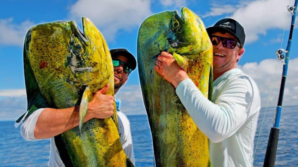 MASSIVE Mahi in Panama - Deep Sea Fishing thebookongonefishing