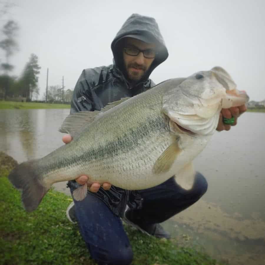 Ty PigPatrol shares his excitement about catching a few large bass using a big swimbait in the video HUGE SWIMBAIT thebookongonefishing