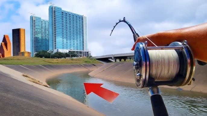 Houston's Best and Most Dangerous Fishing Spot... Right Under Your Nose thebookongonefishing