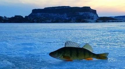 Fishing Tips For Ice Fishing In Washington thebookongonefishing