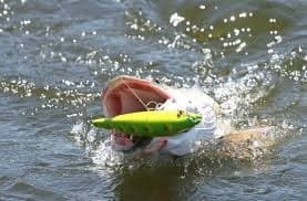 Fishing For Fun Near Clear Fork Reservoir, Lexington, Ohio thebookongonefishing