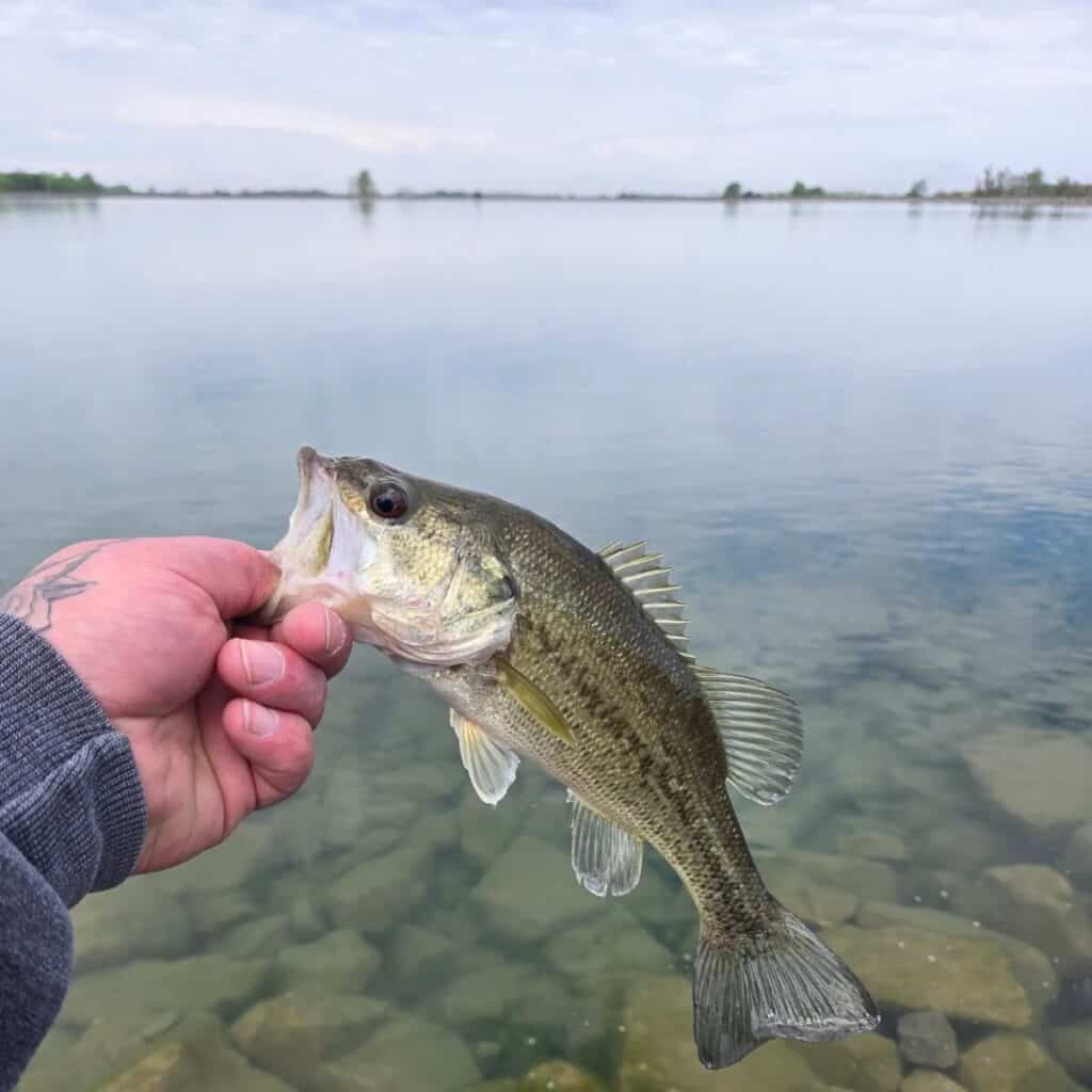 Fishing For Fun Near Outhwaite Reservoir, Bucyrus, Ohio thebookongonefishing