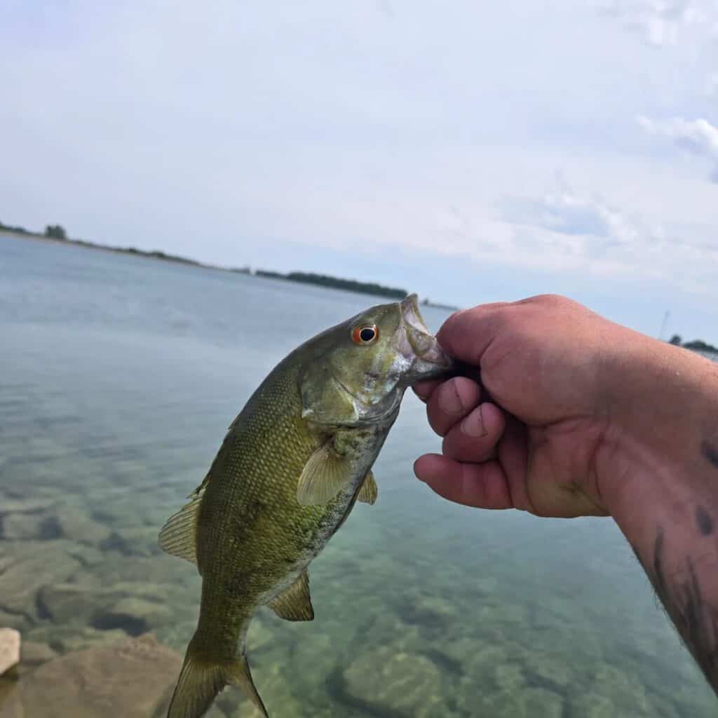 Fishing For Fun Near Outhwaite Reservoir, Bucyrus, Ohio thebookongonefishing