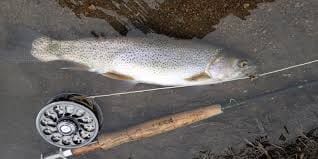 Best fishing equipment for the Ohio River Fishing Near Newark, Ohio thebookongonefishing