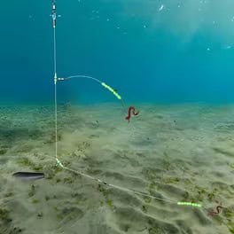 Best Fishing Equipment For The River Fishing Near Youngstown, Ohio thebookongonefishing